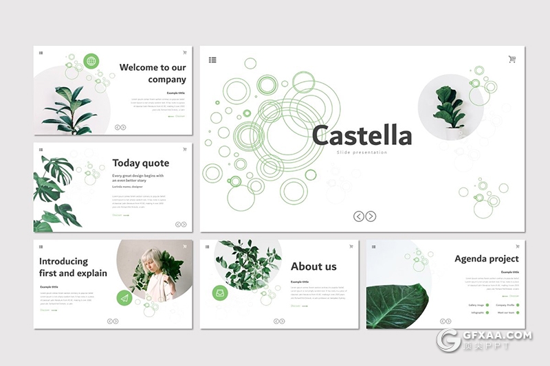 30页室内盆栽植物介绍展示PPT模板5种主题配色 - 顶尖PPT