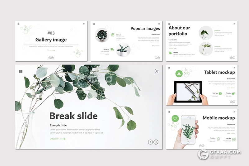 30页室内盆栽植物介绍展示PPT模板5种主题配色 - 顶尖PPT