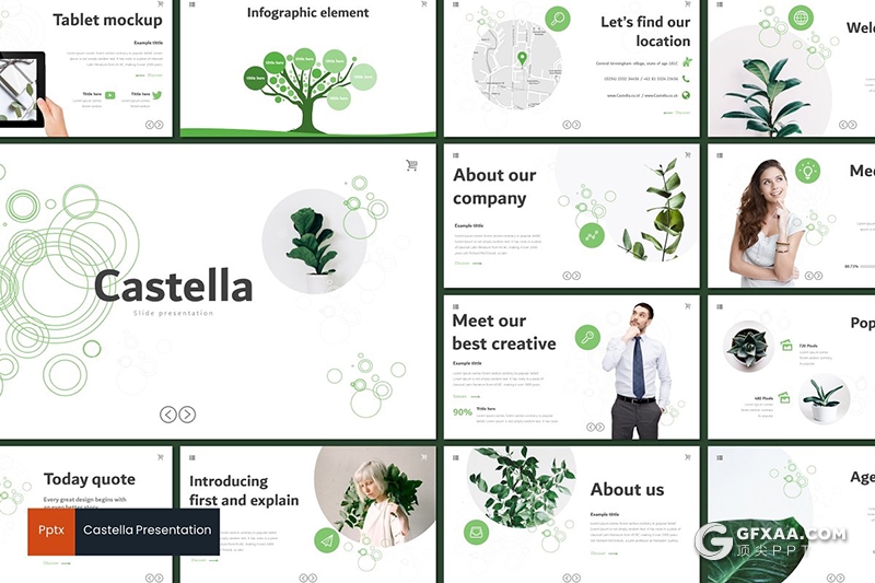 30页室内盆栽植物介绍展示PPT模板5种主题配色 - 顶尖PPT