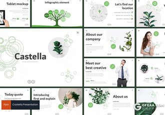 30页室内盆栽植物介绍展示PPT模板5种主题配色 - 顶尖PPT