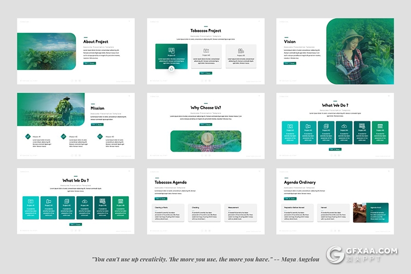 50页简约风绿色渐变茶叶主题茶叶介绍展示PPT模板 - 顶尖PPT