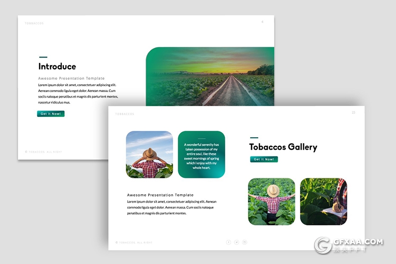 50页简约风绿色渐变茶叶主题茶叶介绍展示PPT模板 - 顶尖PPT