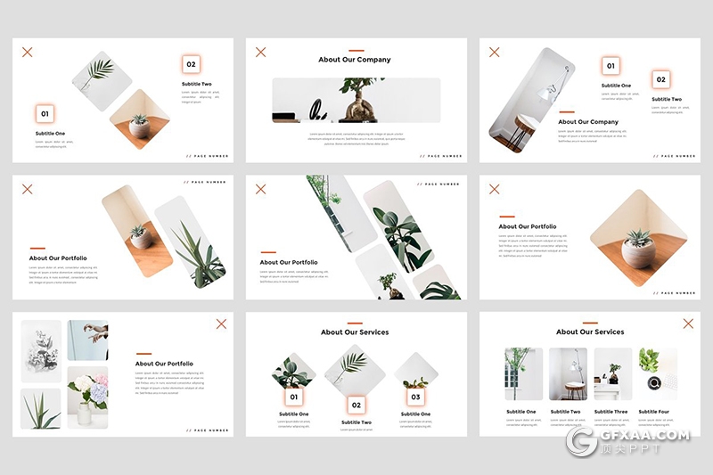 30页文艺小清新风格室内盆栽植物介绍展示Google slides模板 - 顶尖PPT