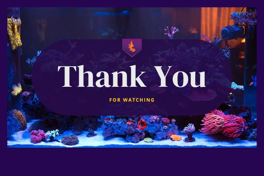 海洋鱼类介绍科普keynote模板 - 顶尖PPT