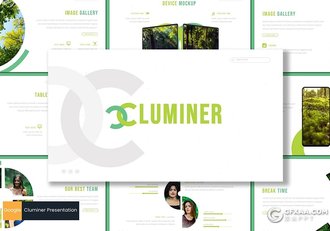 30页全球森林植被绿化数据分析统计Google slides模板5种主题配色 - 顶尖PPT