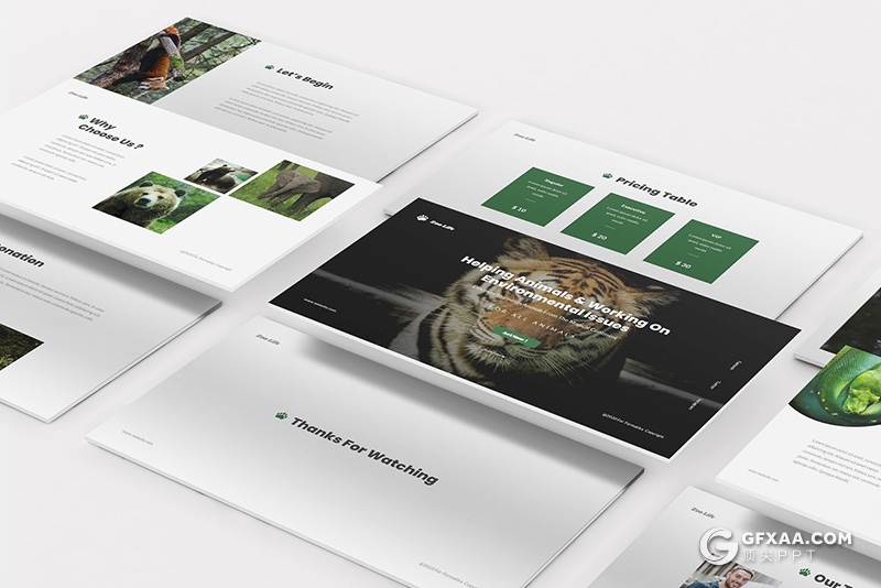 30页动物园宣传介绍动物种类介绍展示PPT模板 - 顶尖PPT