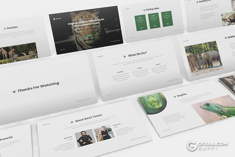 30页动物园宣传介绍动物种类介绍展示PPT模板 - 顶尖PPT