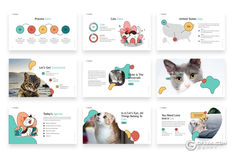 30页可爱卡通风兽医宠物店宠物介绍展示PPT模板 - 顶尖PPT