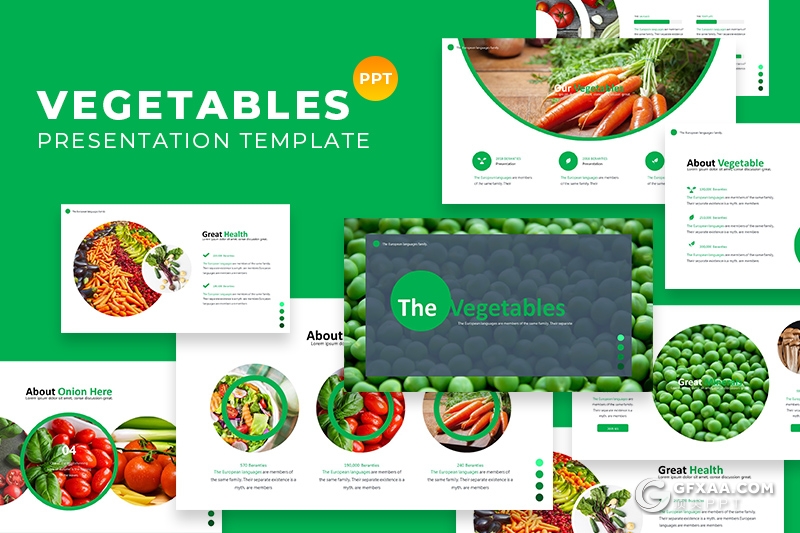 30页蔬菜营养价值介绍展示PPT模板5种主题配色 - 顶尖PPT