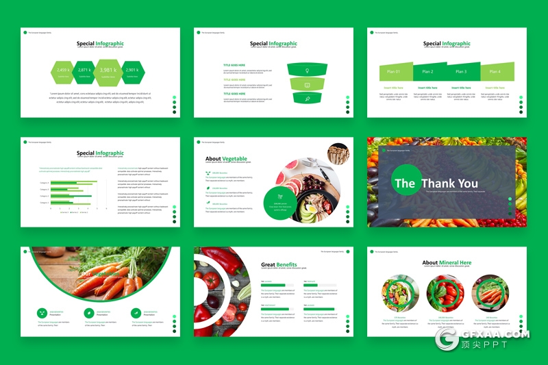 30页蔬菜营养价值介绍展示Google slides模板5种主题配色 - 顶尖PPT