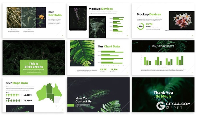 30页大自然植物介绍展示主题PPT模板 AMENDS - NATURE KEYNOTE TEMPLATE - 顶尖PPT