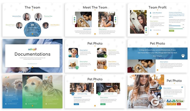 30页国外创意兽医宠物诊所宣传介绍PPT模板 - 顶尖PPT
