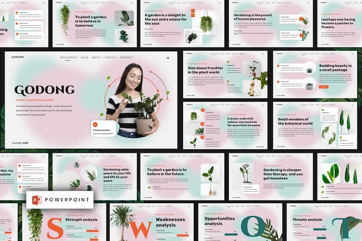 花卉设计展示方案创意应用装饰方案PPT模板 - 顶尖PPT