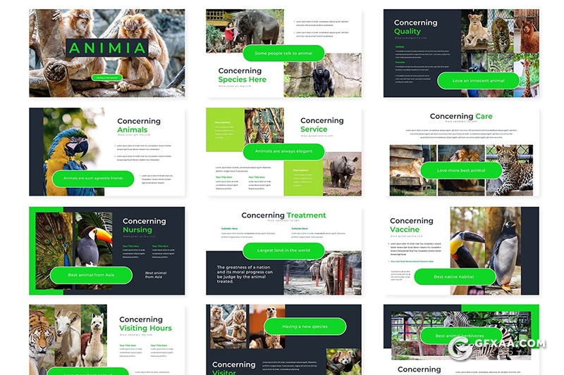 30页扁平化创意动物宣传介绍展示PPT模板5种主题配色 - 顶尖PPT