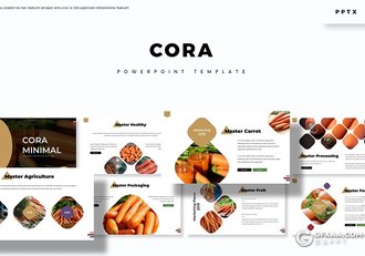 30页圆角矩形组合设计蔬菜果蔬介绍展示PPT模板5种主题配色 - 顶尖PPT