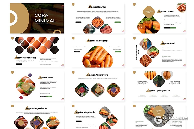 30页圆角矩形组合设计蔬菜果蔬介绍展示PPT模板5种主题配色 - 顶尖PPT