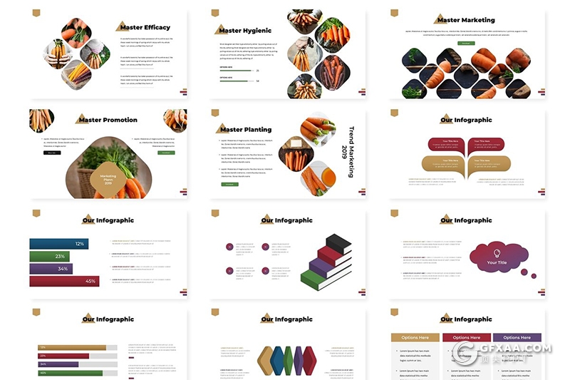 30页圆角矩形组合设计蔬菜果蔬介绍展示PPT模板5种主题配色 - 顶尖PPT