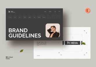 品牌提案指南视觉识别系统PPT模板 - 顶尖PPT