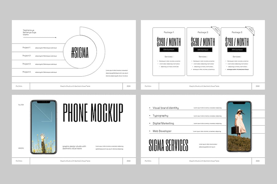 投资组合展示管理规划PPT模板 - 顶尖PPT