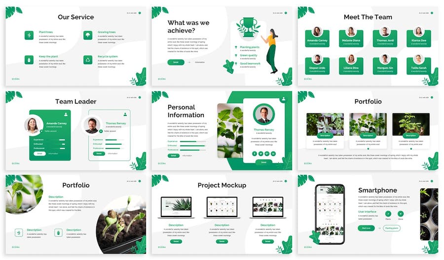 生态系统环境保护宣传PPT模板 - 顶尖PPT