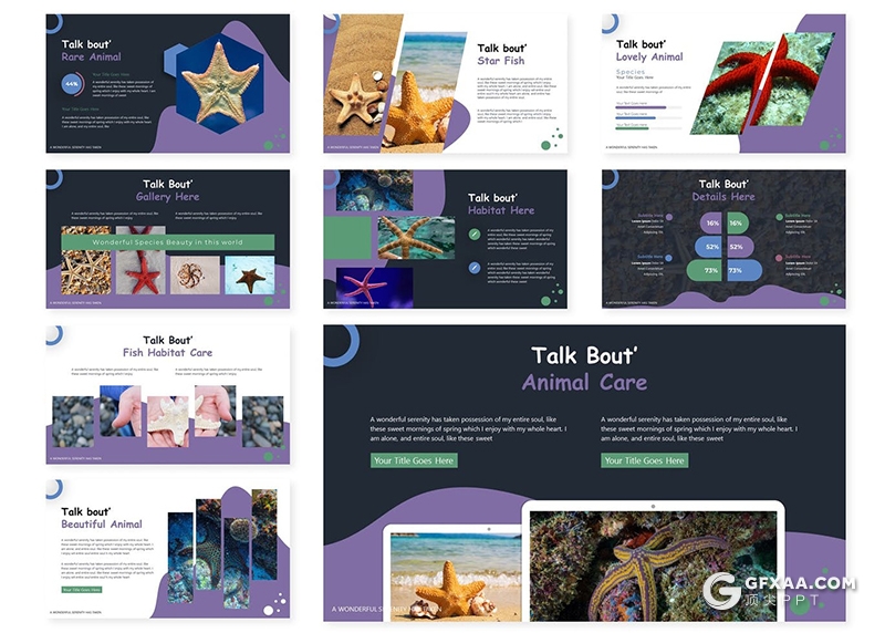 30页创意海洋图形设计海洋生物知识宣传课件PPT模板5种主题配色 - 顶尖PPT