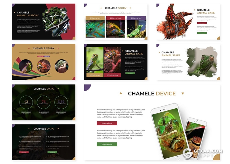 30页海洋动物野生动物数量统计介绍PPT模板5种主题配色 - 顶尖PPT