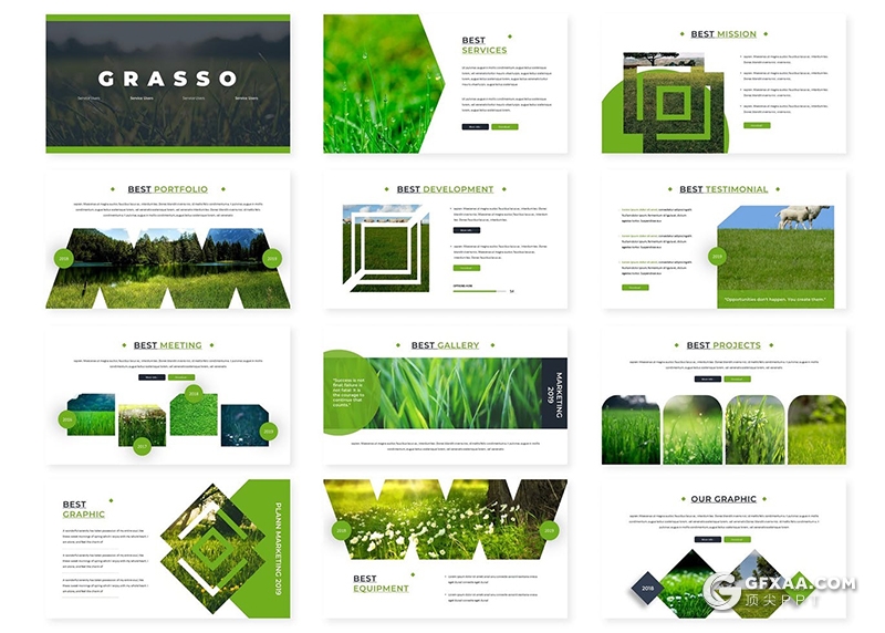 30页绿色节能环保环境包含植被绿化PPT模板5种主题配色 - 顶尖PPT