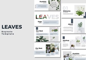 30页时尚极简小清新风格keynote模板5种主题配色 - 顶尖PPT