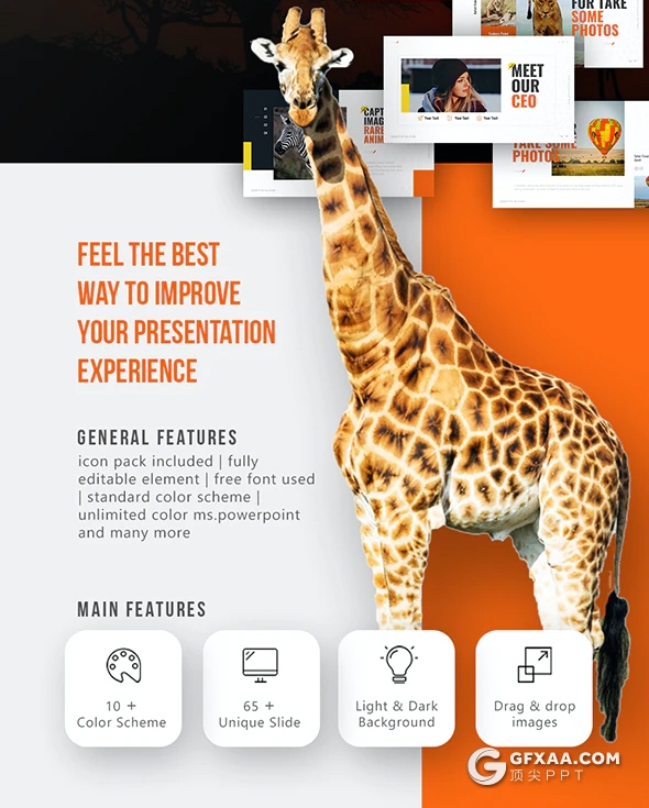 64页精美设计野生动物保护动物介绍PPT模板11种主题配色94种XML配色 - 顶尖PPT