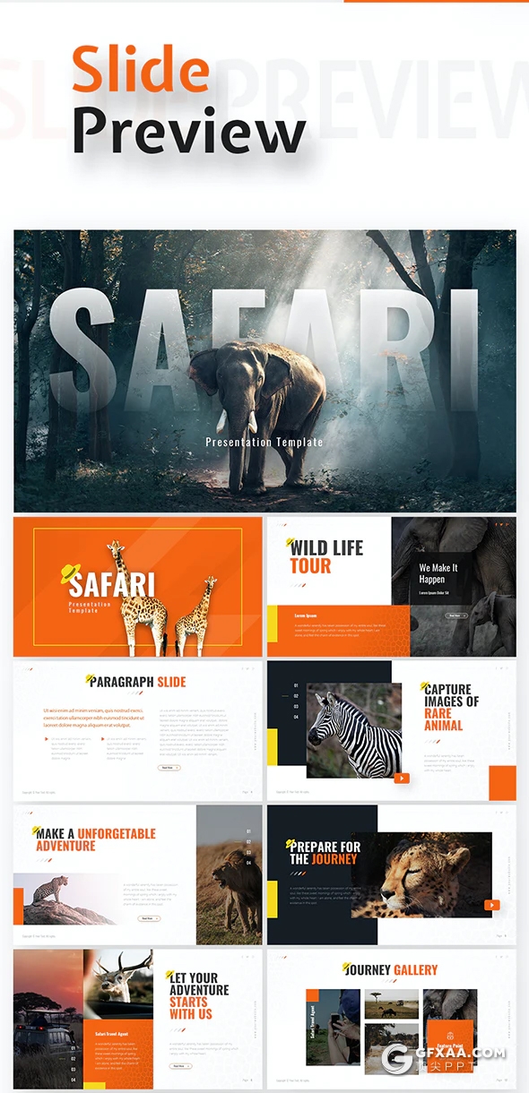 64页精美设计野生动物保护动物介绍PPT模板11种主题配色94种XML配色 - 顶尖PPT