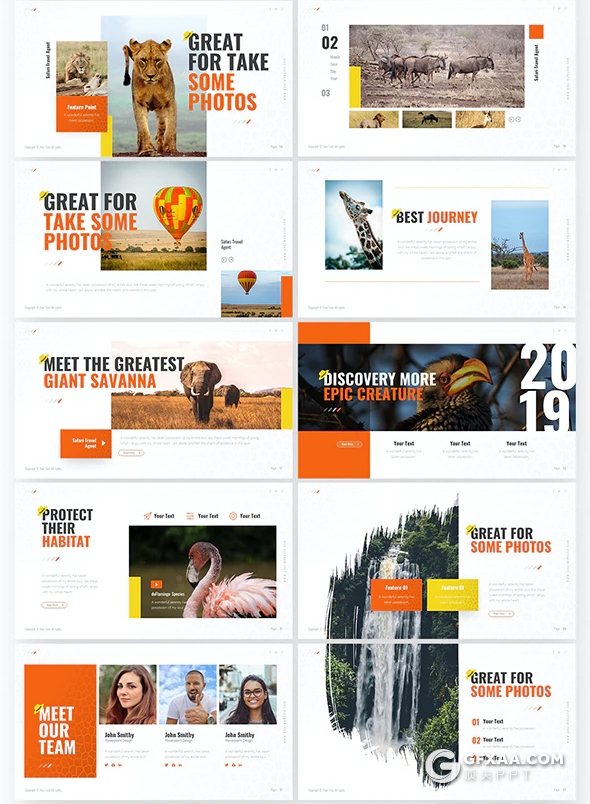 64页精美设计野生动物保护动物介绍PPT模板11种主题配色94种XML配色 - 顶尖PPT