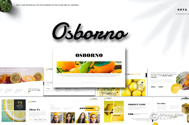 扁平化简约风格水果介绍宣传图片展示PPT模板 - 顶尖PPT