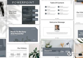 30页扁平化简约风格工作汇报总结商务通用PPT模板3种主题配色 - 顶尖PPT
