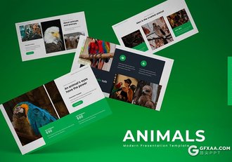 30页鸟类动物介绍展示PPT模板5种主题配色 - 顶尖PPT