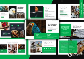 30页鸟类动物介绍展示Google slides模板5种主题配色 - 顶尖PPT