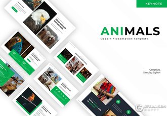 30页鸟类动物介绍展示keynote模板5种主题配色 - 顶尖PPT