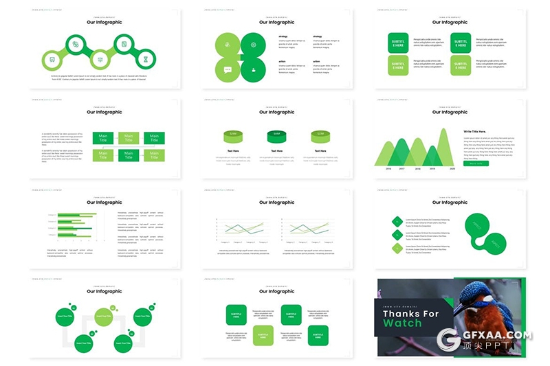 30页鸟类动物介绍展示keynote模板5种主题配色 - 顶尖PPT