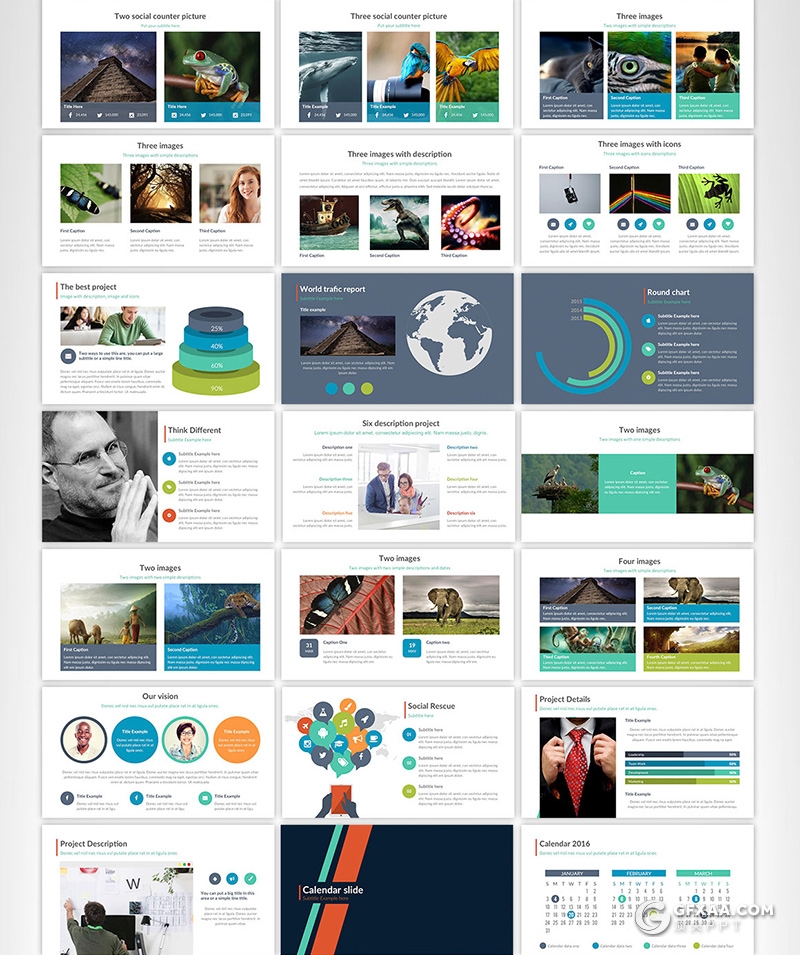56页国外商务风格团队介绍工作计划总结多用途PPT模板 - 顶尖PPT