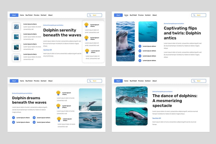 海豚动物展览科普宣传PPT模板 - 顶尖PPT