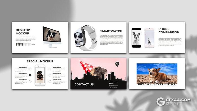 30页宠物商店宠物门店宣传介绍项目策划PPT模板 - 顶尖PPT