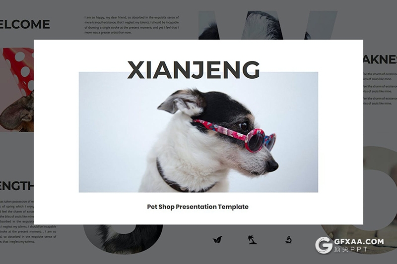 30页宠物商店宠物门店宣传介绍项目策划PPT模板 - 顶尖PPT