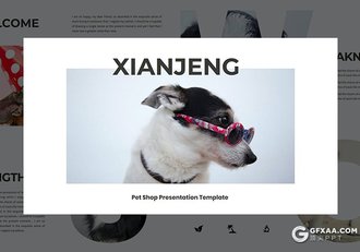 30页宠物商店宠物门店宣传介绍项目策划PPT模板 - 顶尖PPT
