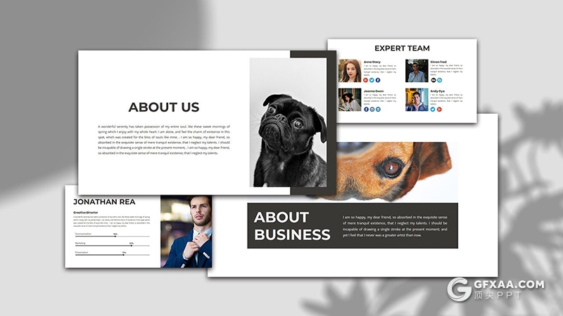 30页宠物商店宠物门店宣传介绍项目策划PPT模板 - 顶尖PPT