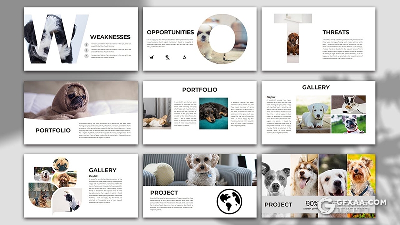 30页宠物商店宠物门店宣传介绍项目策划PPT模板 - 顶尖PPT
