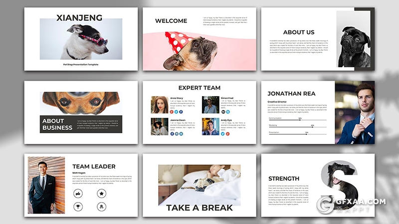 30页宠物商店宠物门店宣传介绍项目策划PPT模板 - 顶尖PPT