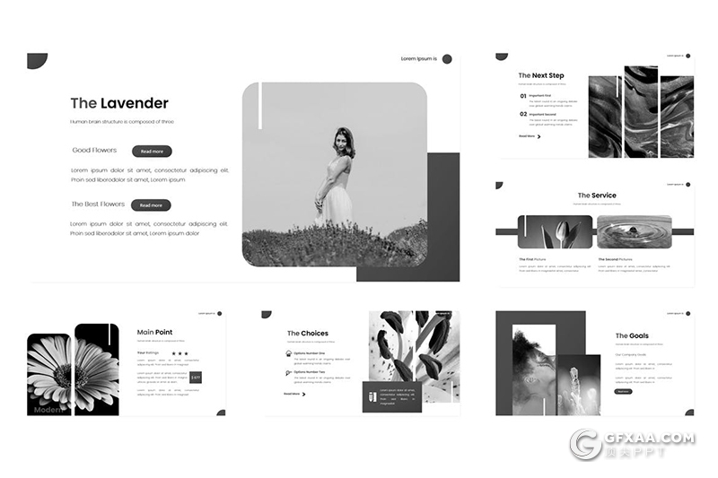 30页国外极简文艺商务风格PPT模板5种主题配色 - 顶尖PPT