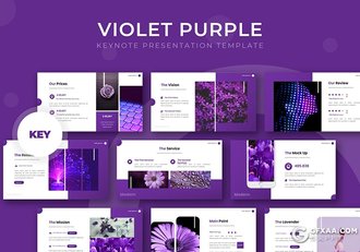 30页国外极简文艺商务风格keynote模板5种主题配色 - 顶尖PPT