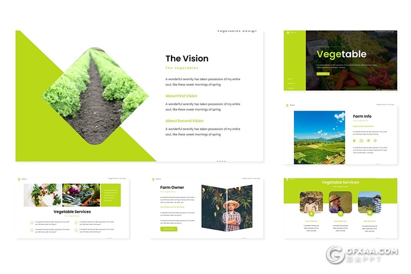 30页国外扁平化蔬菜水果介绍展示Google slides模板5种主题配色 - 顶尖PPT