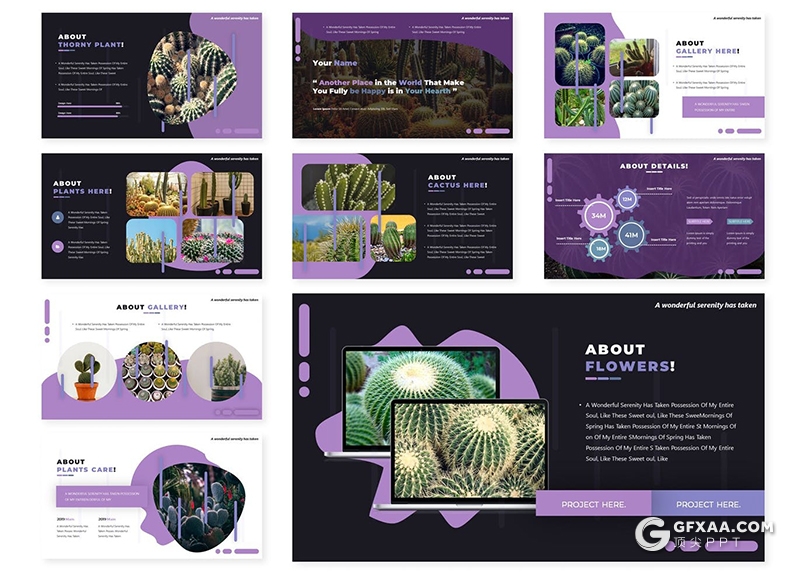 30页绿色植物介绍仙人掌仙人球介绍展示PPT模板5种配色 - 顶尖PPT