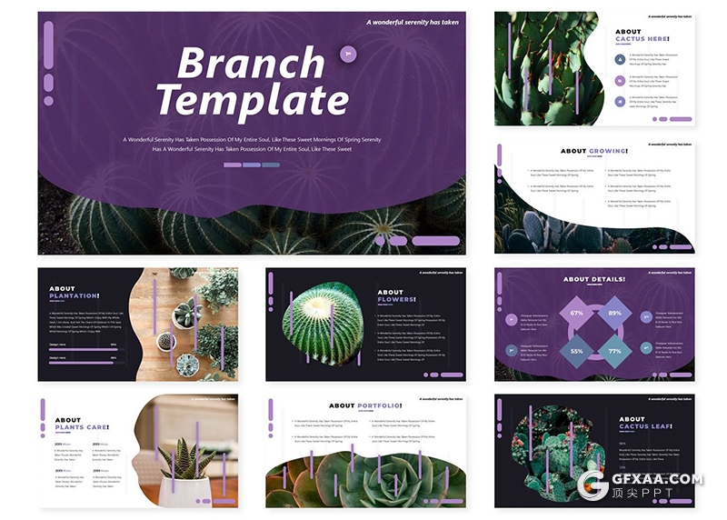 30页绿色植物介绍仙人掌仙人球介绍展示PPT模板5种配色 - 顶尖PPT